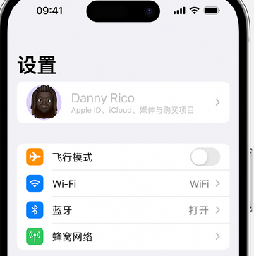 易门appleID维修服务iPhone设置中Apple ID显示为灰色无法使用 