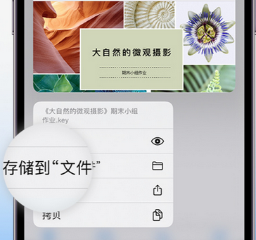 易门apple维修中心分享iPhone文件应用中存储和找到下载文件