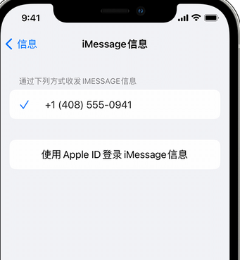 易门apple维修iPhone上无法正常发送iMessage信息 