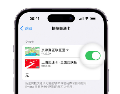 易门apple维修点分享iPhone上更换Apple Pay快捷交通卡手绘卡面 