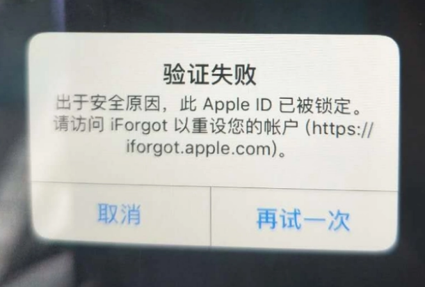 易门iPhone维修分享iPhone上正常登录或使用AppleID怎么办 