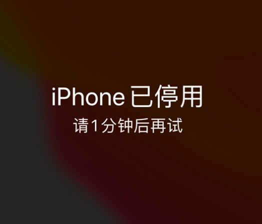 易门苹果手机维修分享:iPhone 显示“不可用”或“已停用”怎么办？还能保留数据吗？ 