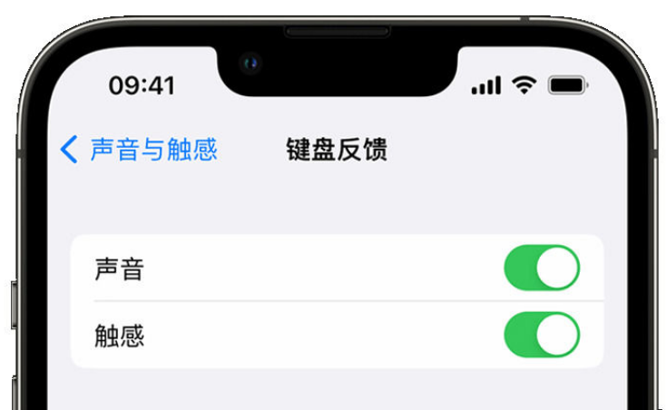 易门苹果手机维修分享iPhone 14触感键盘使用方法 