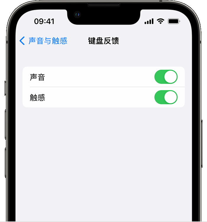 易门苹果14维修店分享如何在 iPhone 14 机型中使用触感键盘 