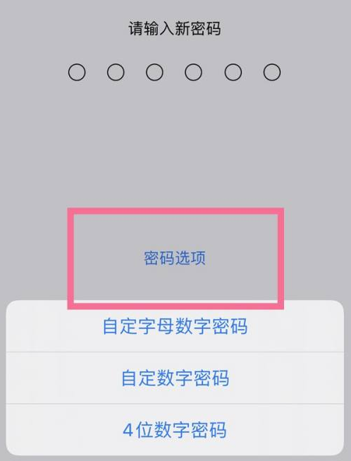 易门苹果14维修分享iPhone 14plus设置密码的方法 