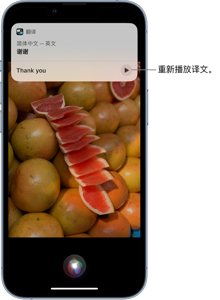 易门苹果14维修分享 iPhone 14 机型中使用 Siri：了解 Siri 能帮你做什么 