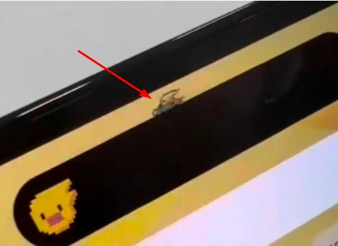 易门苹果14维修分享iPhone 14 Pro Max灵动岛怎么养宠物 