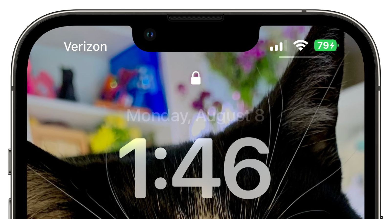 易门苹果手机维修分享iOS 16 beta 5 支持状态栏显示电池百分比，如何开启？支持哪些机型 