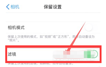 易门苹果13维修分享iPhone13拍照有绿点是怎么回事 