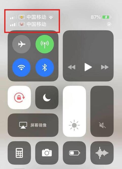 易门苹果手机维修分享为 iPhone 12 双卡设置标签 